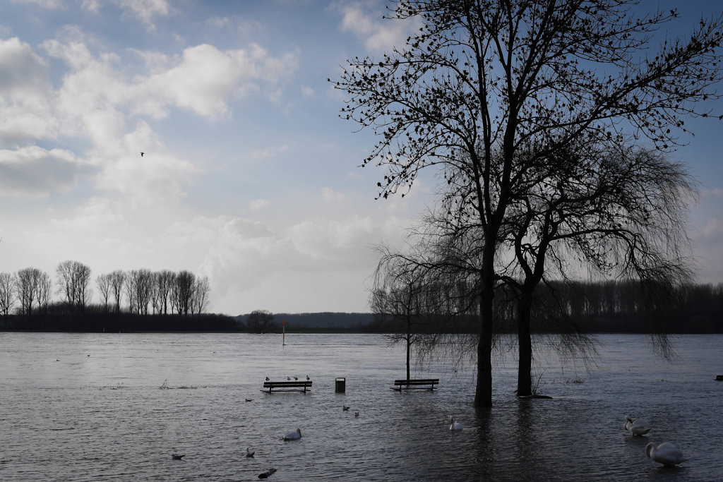 Rhein 2018